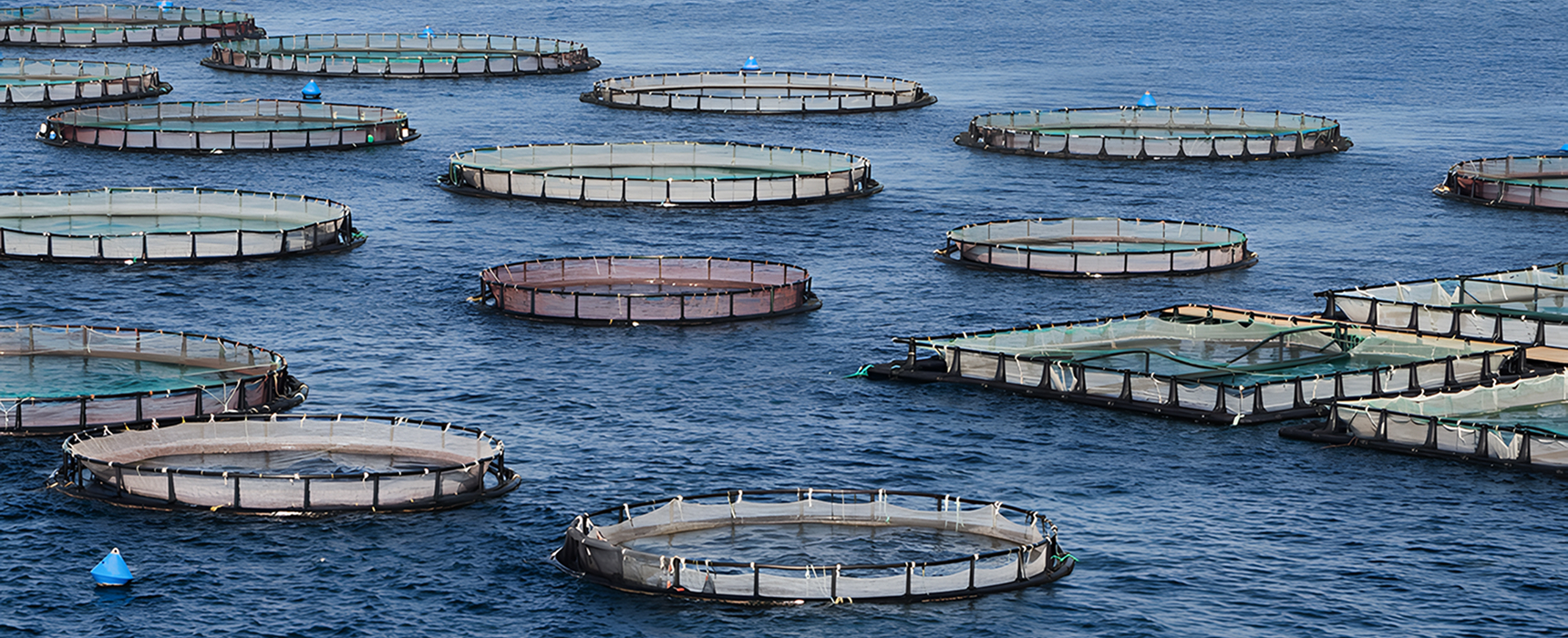 Offshore aquaculture containment pens